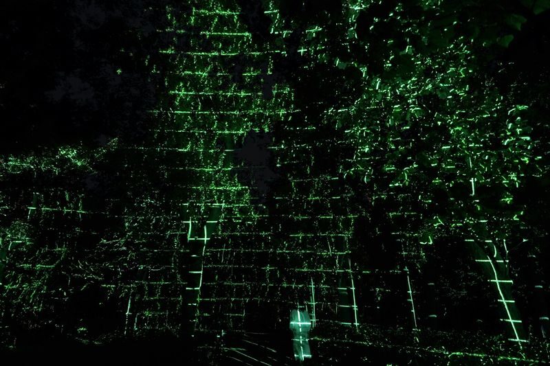 teamLab Botanical Garden Osaka Ticket - How long to allow, and how the route feels