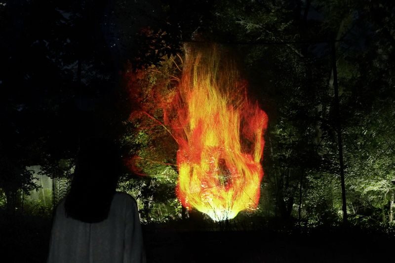 teamLab Botanical Garden Osaka Ticket - Choosing a time and checking conditions