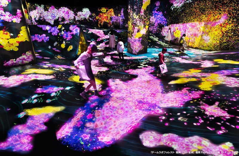 teamLab Forest Fukuoka Ticket - Start in Catch and Collect Forest