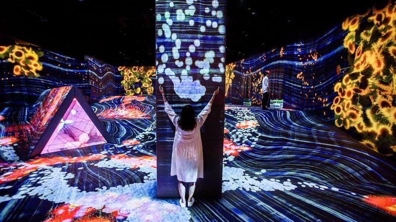 teamLab Forest Fukuoka Ticket - Weigh the ticket against the time you have