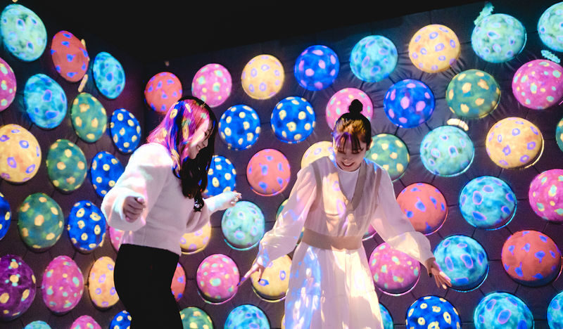 teamLab Forest Fukuoka Ticket - Check the practical limits before you go