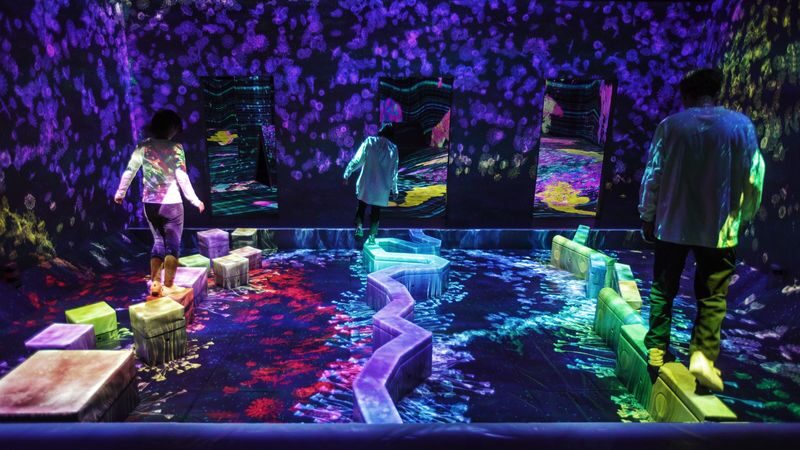 teamLab Forest Fukuoka Ticket - Should you book teamLab Forest Fukuoka?