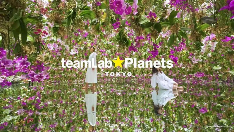 teamLab Planets TOKYO Ticket - A ticket into art you can walk through