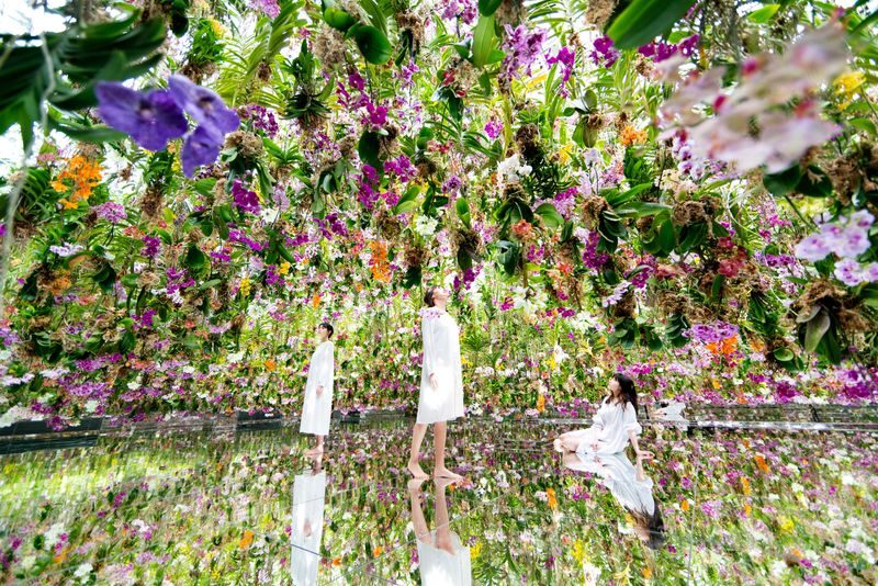 teamLab Planets TOKYO Ticket - Following the rooms, from flowers to water