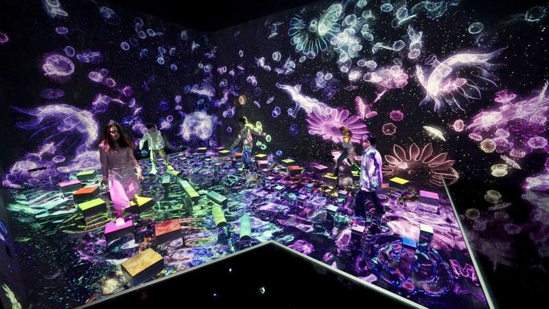 teamLab Planets TOKYO Ticket - Getting there and planning your time