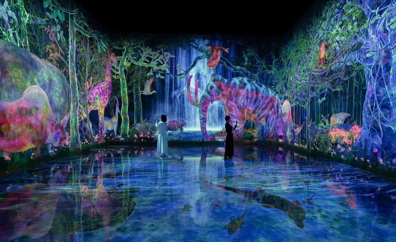 teamLab Planets TOKYO Ticket - What the ticket costs, and which option makes sense