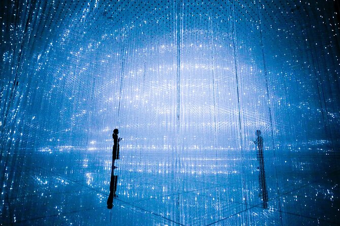 Teamlab Planets Walking Tour With Toyosu Fish Market Buffet Lunch - Pricing