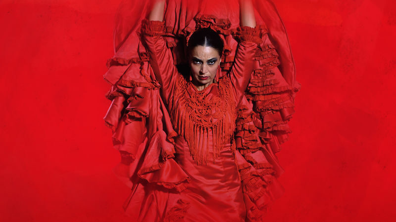 Teatro Flamenco Barcelona: Live the Flamenco Experience - Flamenco in a small El Born theater