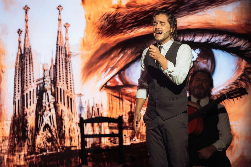 Teatro Flamenco Barcelona: Live the Flamenco Experience - Is the price good value?