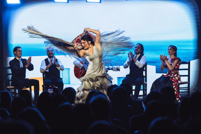 Teatro Flamenco Barcelona: Live the Flamenco Experience - Who will enjoy this show most