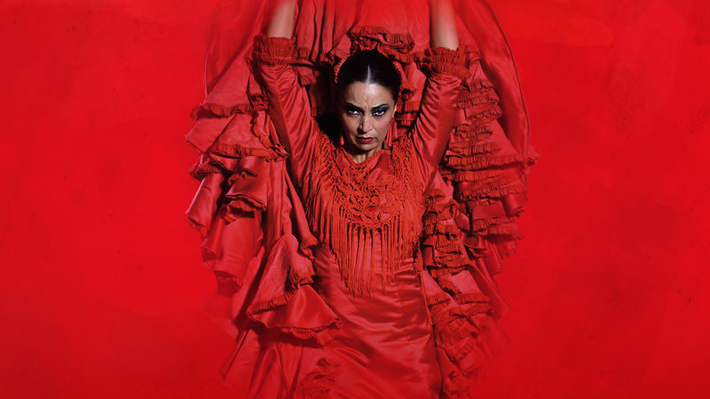 Teatro Flamenco Madrid: Live the Flamenco Experience - The arrival, the room, and the first notes
