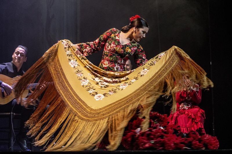 Teatro Flamenco Madrid: Live the Flamenco Experience - What the experience does especially well