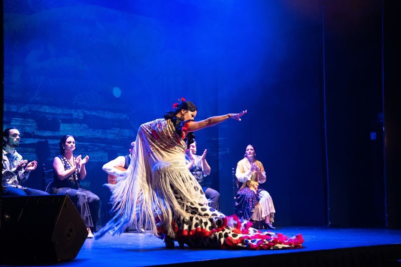 Teatro Flamenco Madrid: Live the Flamenco Experience - Who should book Emociones