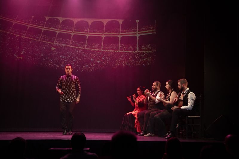 Teatro Flamenco Madrid: Live the Flamenco Experience - Should you book?