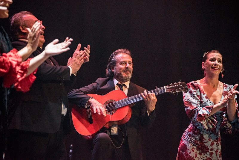 Teatro Flamenco Sevilla: Live the Flamenco Experience - What the hour on stage offers