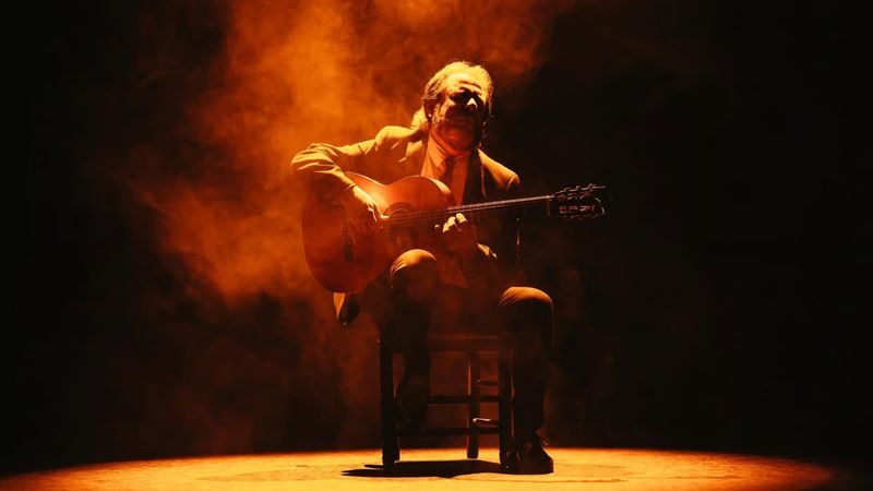 Teatro Flamenco Sevilla: Live the Flamenco Experience - Is the ticket good value?