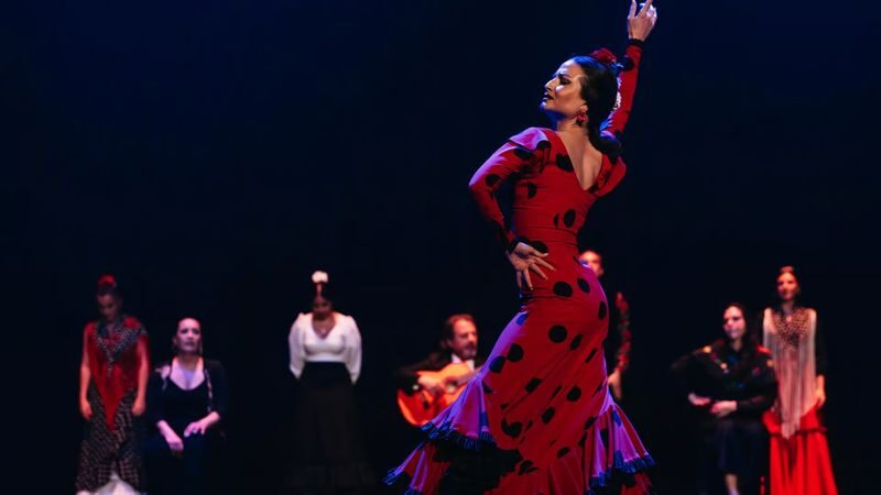 Teatro Flamenco Sevilla: Live the Flamenco Experience - Who will enjoy this show most