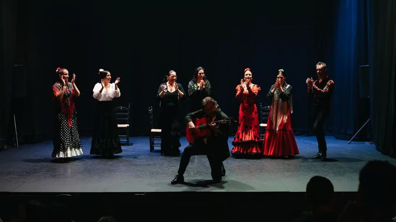 Teatro Flamenco Sevilla: Live the Flamenco Experience - Booking and small details worth checking