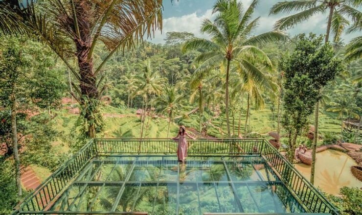 Tegallalang: Alas Harum Outdoor Activities Entry Ticket - Experience