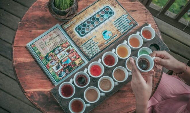 Tegallalang: Alas Harum Outdoor Activities Entry Ticket - The Sum Up