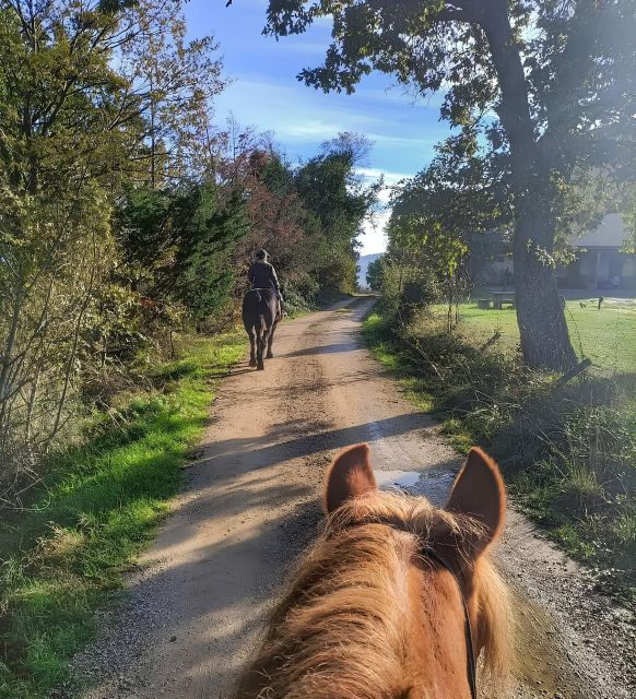 Tègoni Farm: Horseback Riding in Tuscany - Instructor and Group Size