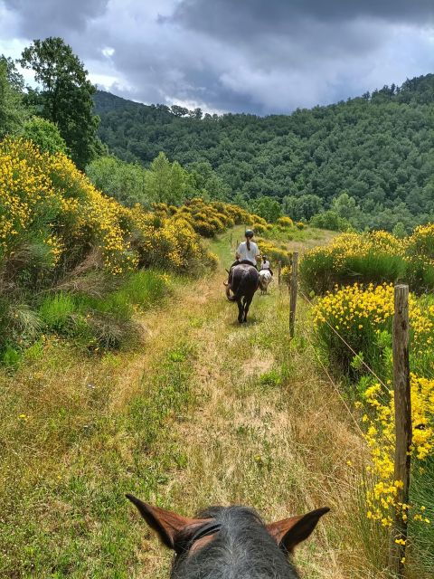 Tègoni Farm: Horseback Riding in Tuscany - Cancellation Policy and Payment