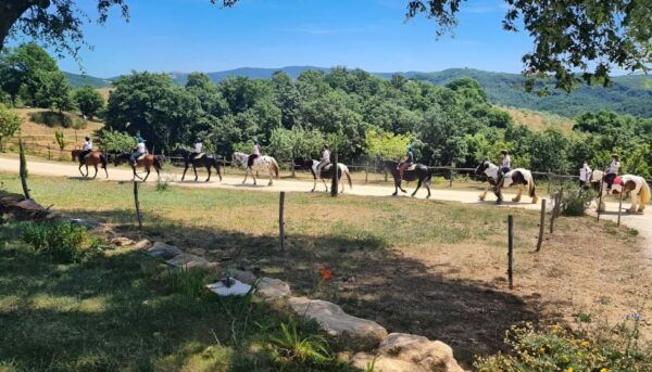 Tègoni Farm: Horseback Riding in Tuscany - Riding Experience and Gear