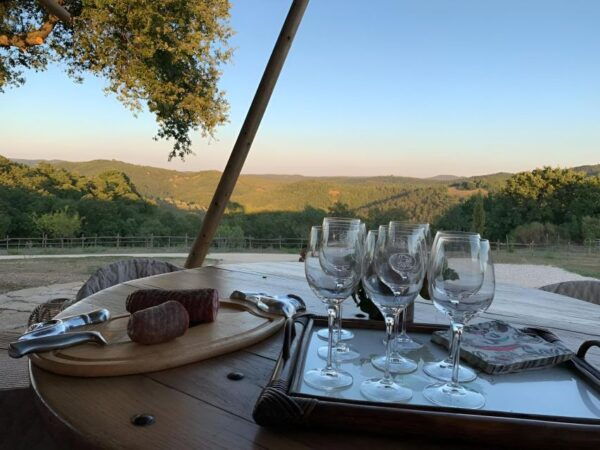 Tègoni Farm: Horseback Riding in Tuscany - Additional Activities and Private Bookings