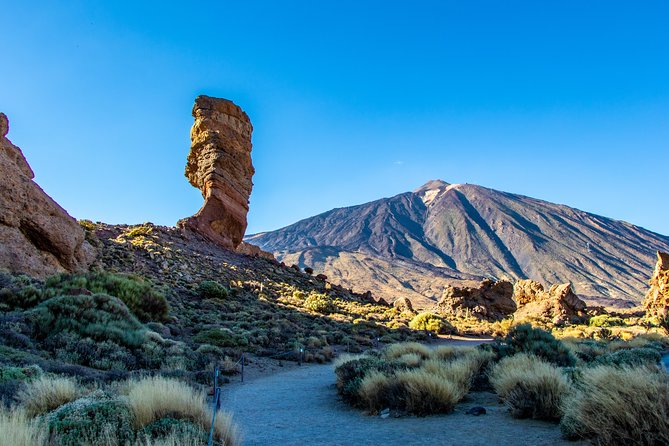 Teide by Night: Sunset & Stargazing With Telescopes Experience - Feedback on Guides, Staff, and Overall Satisfaction