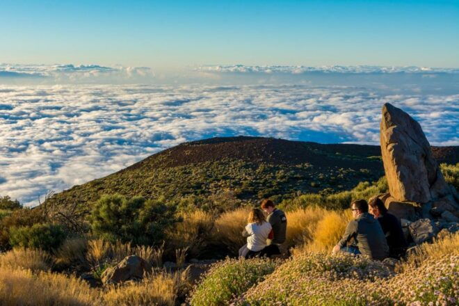 Teide: Guided Sunset and Stargazing Tour With Dinner - Full Description