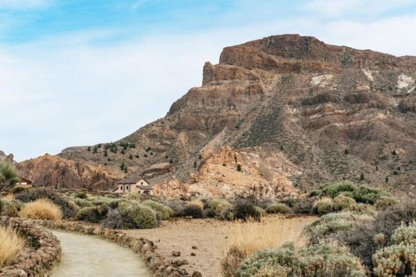 Teide: Guided Sunset and Stargazing Tour With Dinner - Common Questions