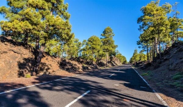 Teide: Guided Sunset and Stargazing Tour With Dinner - The Sum Up