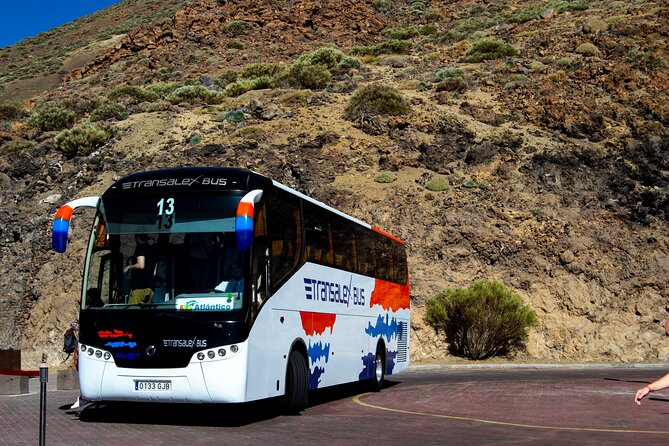 Teide National Park - Location and Guided Tours