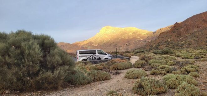 Teide National Park and Vilaflor ; Local Wine Tasting - Vilaflor