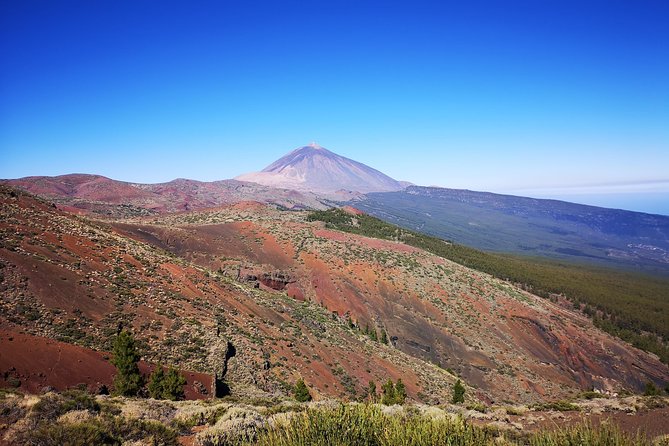 Teide National Park for Smaller Groups - Traveler Reviews