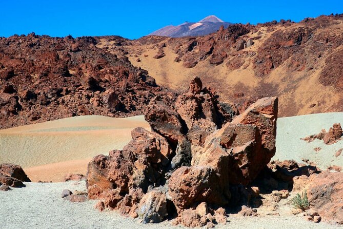 Teide National Park Full Experience With Professional Guide - Reviews