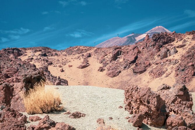 Teide National Park Full Experience With Professional Guide - Air-conditioned Vehicle
