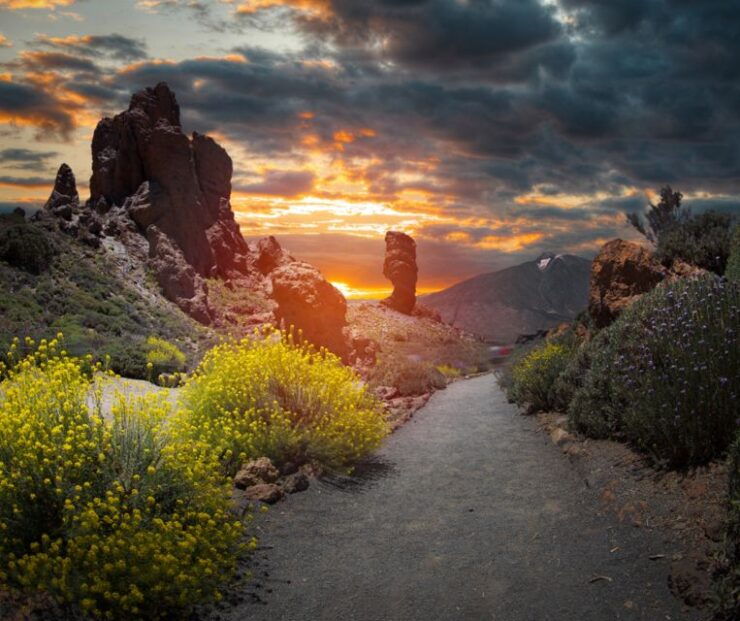 Teide National Park: Landscapes and Viewpoints Private Tour - Experience Teide National Parks Beauty
