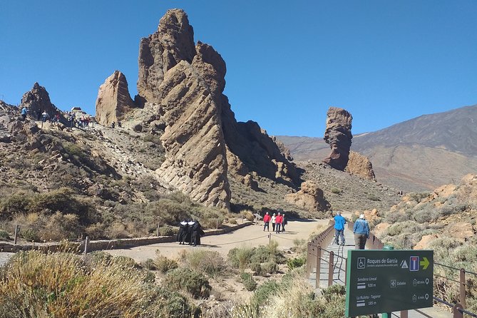 Teide National Park Small-Group Hiking Tour - Tenerife - Cancellation Policy and Reviews
