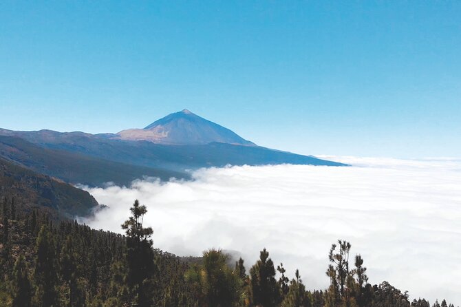 Teide National Park Tour - Guide and Commentary