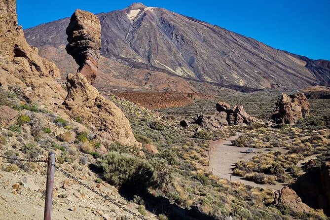 TEIDE NATIONAL PARK Tour in a Small Group by Bus - Contact and Pricing Information