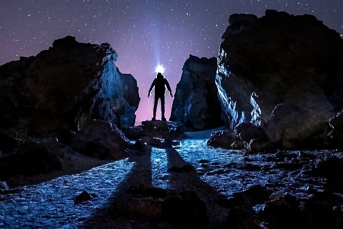 TEIDE NIGHT Astronomy Stargazing Bus Tour, Meal & Drinks Included! - Pricing and Value