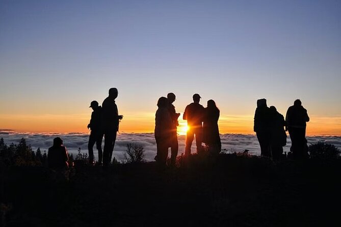 TEIDE NIGHT, Stargazing Bus Tour, Meal & Drinks Included! - The Sum Up