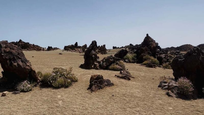 Teide & Secret Volcanoes  Tour Tenerife with a German Guide (8h) - FAQ