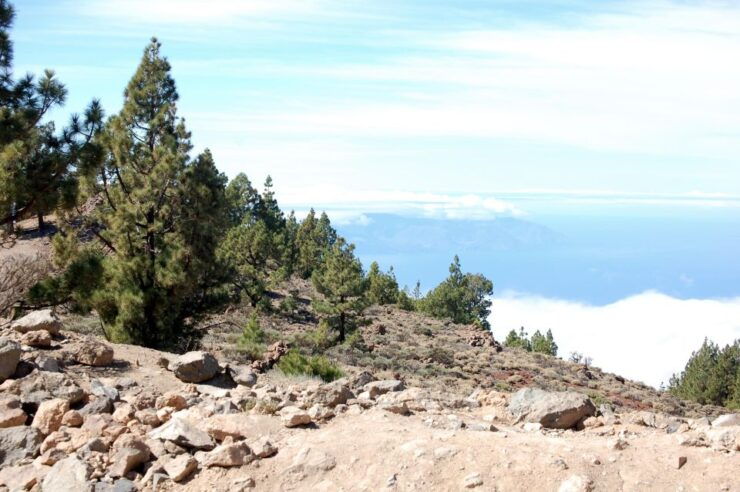 Teide Volcano Ride - Road Bike Tour - Tour Details