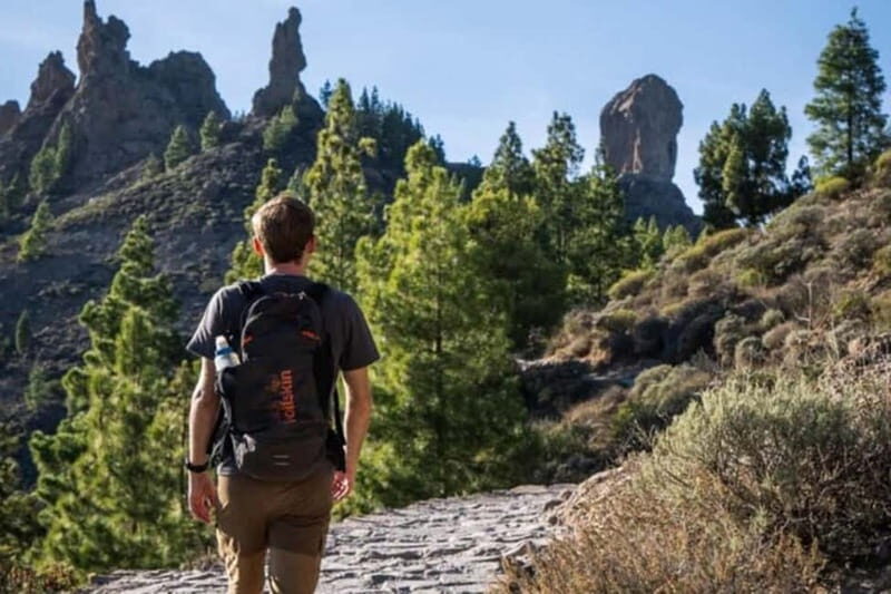 Tejeda: Roque Nublo Base Camp Xperience: Hike, Picnic & More - Good To Know