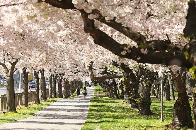 Tekapo to Christchurch Small-Group Tour (one-way) - Good To Know