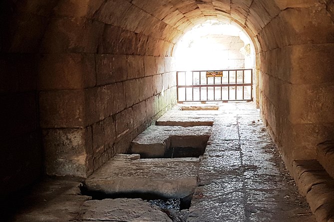 Tel Dan and Baniyas National Parks Private Tour - Reviews