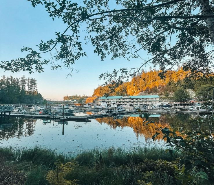 Telegraph Cove: 2 Hour Evening Kayak Tour - Tour Details