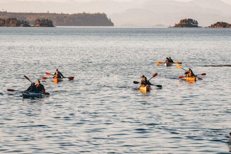 Telegraph Cove: 2 Hour Family Fun Kayaking Tour - Location and Duration